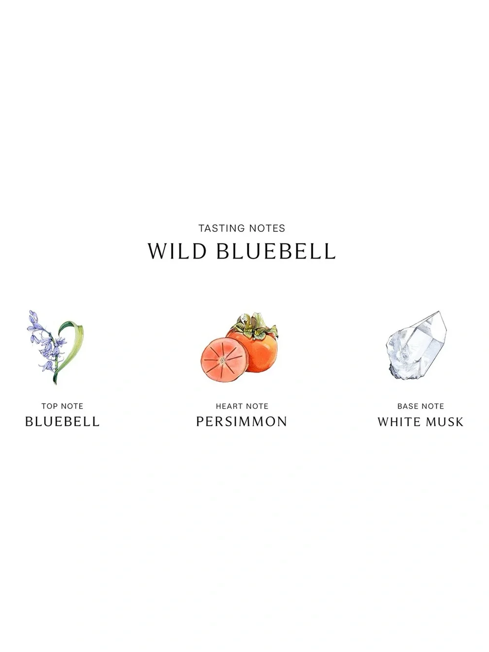 Jo Malone London Wild Bluebell Cologne Lg Bottle NWOB